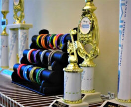 Musical Ladder Trophies & Awards - Niagara School of Music