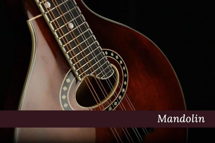 Mandolin Lessons - Niagara School of Music