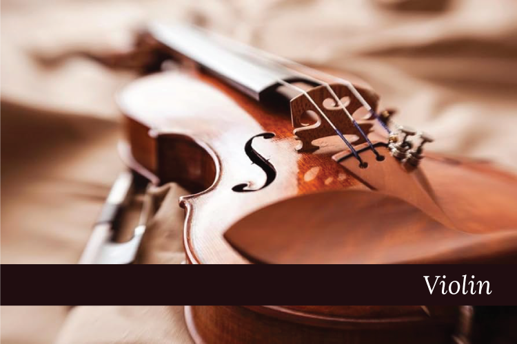 Viloin Lessons - Niagara School of Music